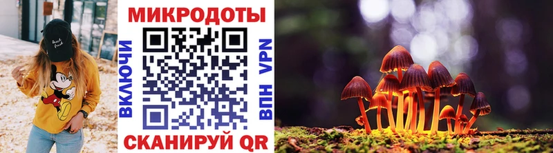 купить   Армавир  Галлюциногенные грибы мицелий 